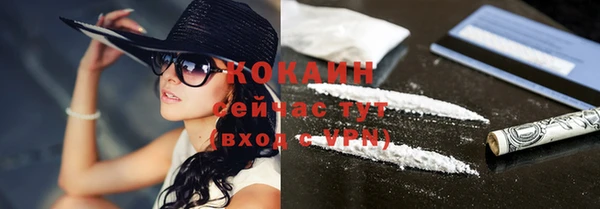 СК Алзамай