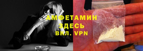 стаф Алексин