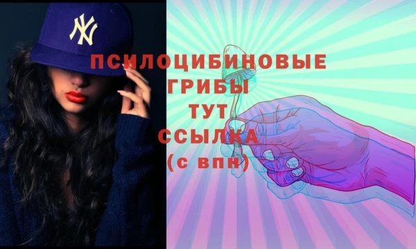 стаф Алексин
