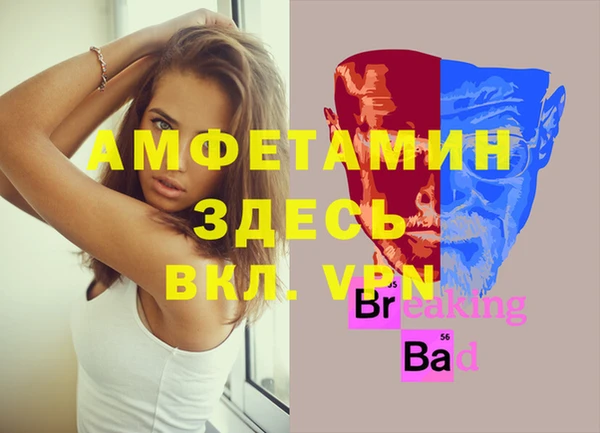 стаф Алексин