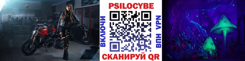 Псилоцибиновые грибы GOLDEN TEACHER  как найти наркотики  Заринск 