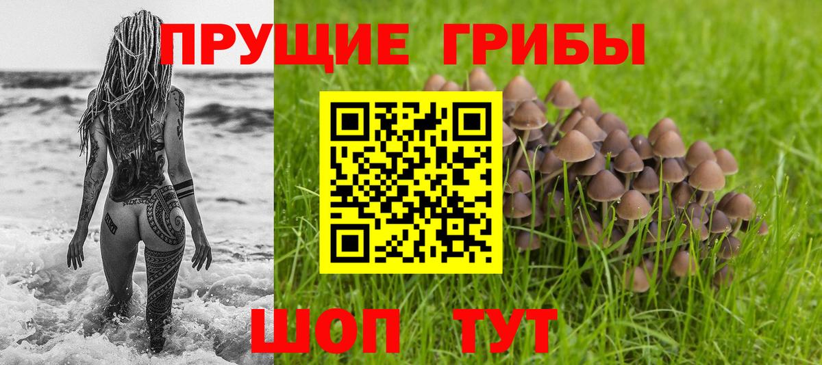 Галлюциногенные грибы мухоморы  Вход с VPN  Псилоцибиновые грибы Cubensis  Заринск 