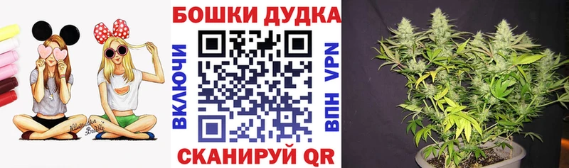 Шишки марихуана MAZAR  магазин продажи   Заринск 